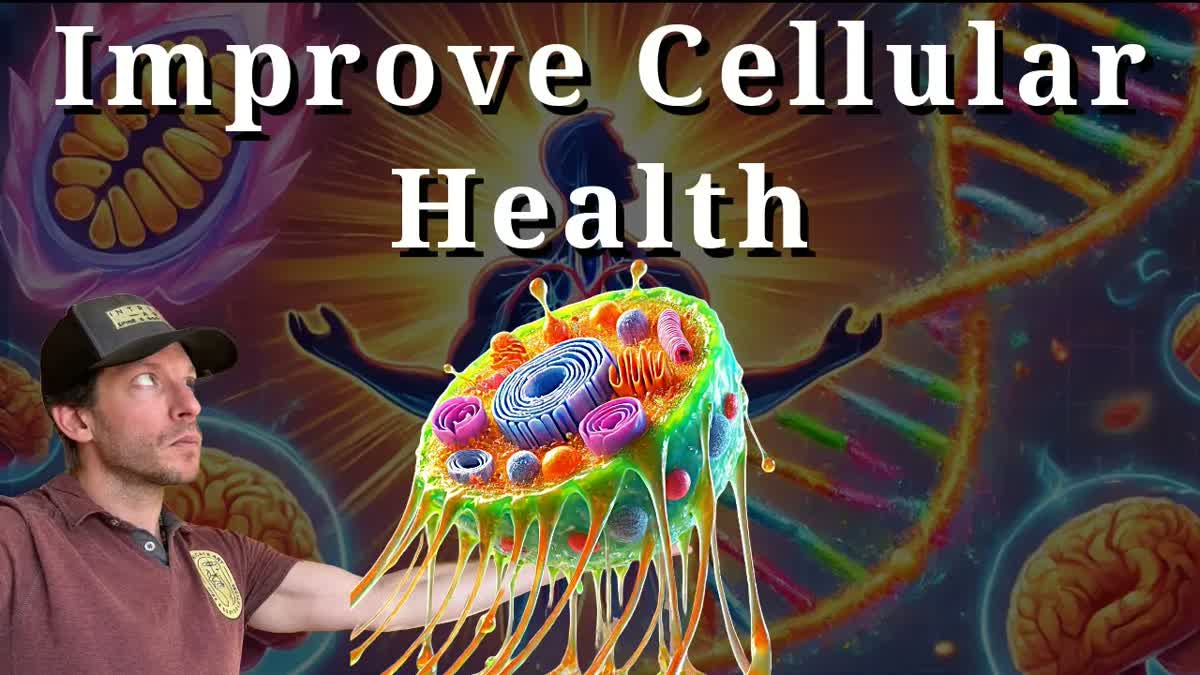 Unlock Cellular Longevity with Telomeres