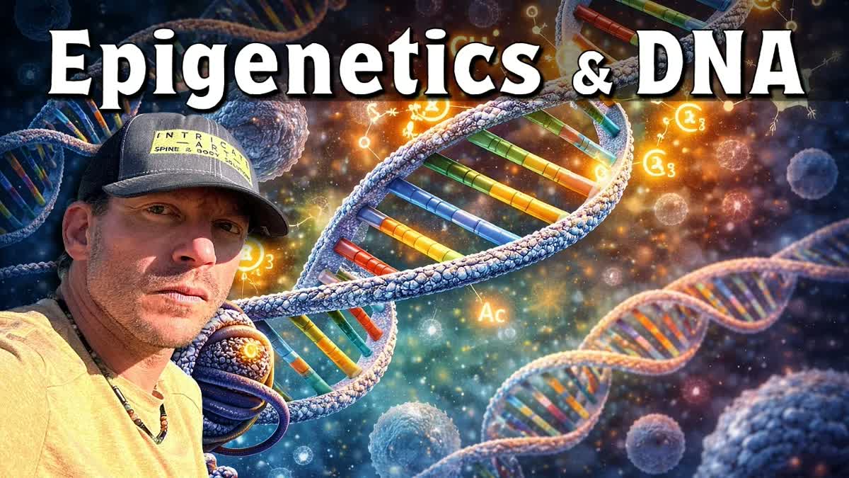 Epigenetics Explained Healthspan Boost