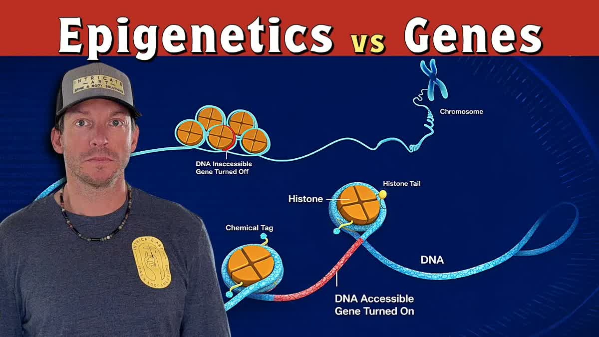Unlocking Health Through Epigenetics and Peptides