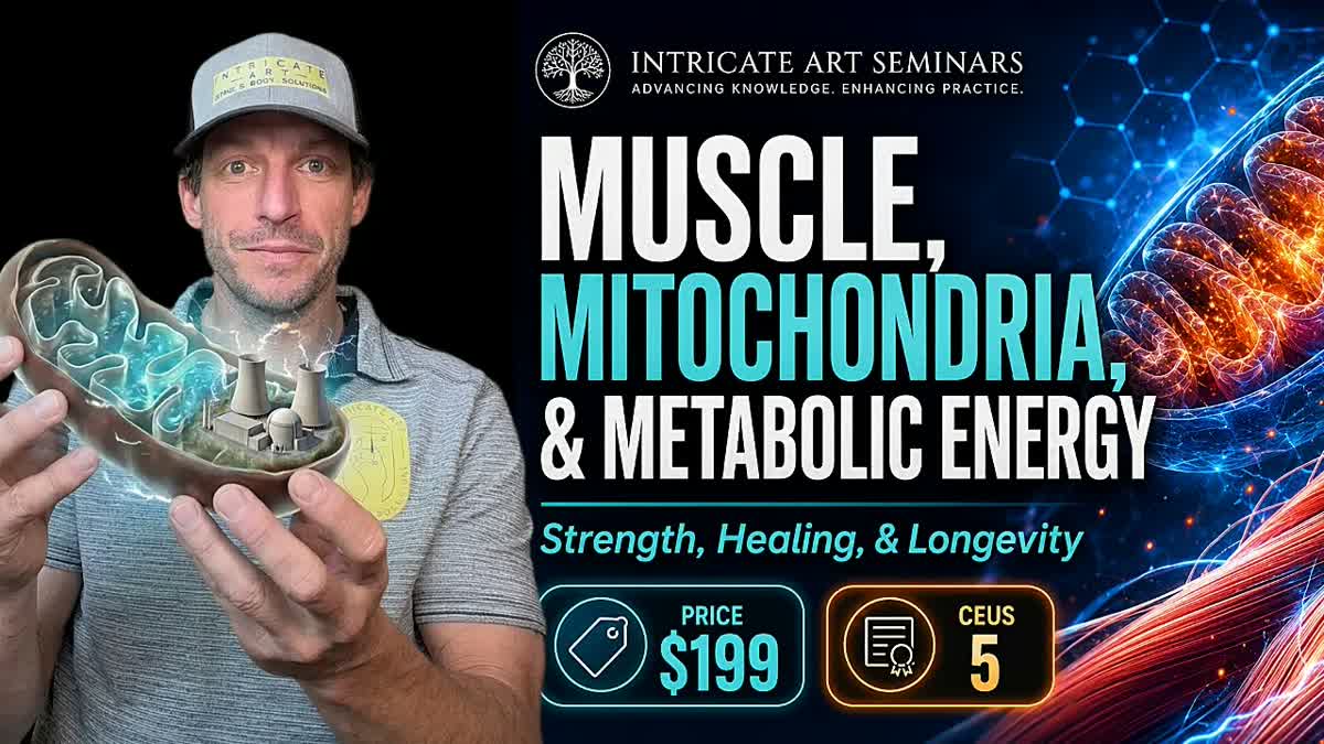 Unlocking Muscle Power with Mitochondria